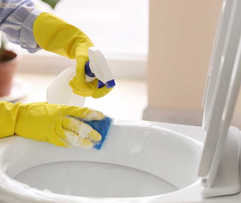Pulizia servizi igienici
